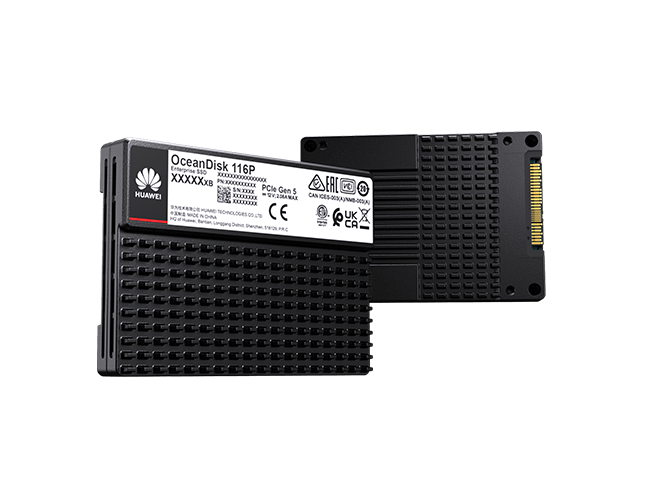 Huawei OceanDisk 116P High-Capacity SSD — three-quarter view (OceanDisk 116PHigh-Capacity SSD 15.36 TB, OceanDisk 116PHigh-Capacity SSD 30.72 TB, OceanDisk 116PHigh-Capacity SSD 61.44 TB)