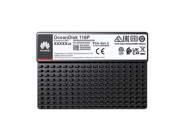 Huawei OceanDisk 116P High-Capacity SSD — label-view view (OceanDisk 116PHigh-Capacity SSD 15.36 TB, OceanDisk 116PHigh-Capacity SSD 30.72 TB, OceanDisk 116PHigh-Capacity SSD 61.44 TB)