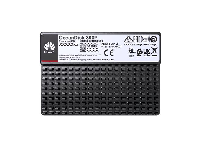 Huawei OceanDisk 300P High-Performance SSD (PCIe 4.0 / 5.0) — label-view view (OceanDisk 300P High-Performance SSD 1.92 TB (PCIe 4.0, 1 DWPD), OceanDisk 300P High-Performance SSD 3.84 TB (PCIe 4.0, 1 DWPD), OceanDisk 300P High-Performance SSD 7.68 TB (PCIe 4.0, 1 DWPD), OceanDisk 300P High-Performance SSD 15.36 TB (PCIe 4.0, 1 DWPD), OceanDisk 300P High-Performance SSD 1.6 TB (PCIe 4.0, 3 DWPD), OceanDisk 300P High-Performance SSD 3.2 TB (PCIe 4.0, 3 DWPD), OceanDisk 300P High-Performance SSD 6.4 TB (PCIe 4.0, 3 DWPD), OceanDisk 300P High-Performance SSD 12.8 TB (PCIe 4.0, 3 DWPD), OceanDisk 300P High-Performance SSD 1.92 TB (PCIe 5.0, 1 DWPD), OceanDisk 300P High-Performance SSD 3.84 TB (PCIe 5.0, 1 DWPD), OceanDisk 300P High-Performance SSD 7.68 TB (PCIe 5.0, 1 DWPD), OceanDisk 300P High-Performance SSD 15.36 TB (PCIe 5.0, 1 DWPD), OceanDisk 300P High-Performance SSD 30.72 TB (PCIe 5.0, 1 DWPD), OceanDisk 300P High-Performance SSD 1.6 TB (PCIe 5.0, 3 DWPD), OceanDisk 300P High-Performance SSD 3.2 TB (PCIe 5.0, 3 DWPD), OceanDisk 300P High-Performance SSD 6.4 TB (PCIe 5.0, 3 DWPD), OceanDisk 300P High-Performance SSD 12.8 TB (PCIe 5.0, 3 DWPD))